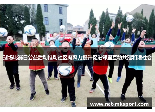 球场比赛日公益活动推动社区凝聚力提升促进邻里互动共建和谐社会