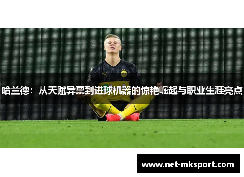 哈兰德：从天赋异禀到进球机器的惊艳崛起与职业生涯亮点
