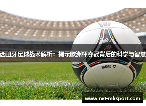 西班牙足球战术解析：揭示欧洲杯夺冠背后的科学与智慧
