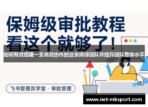 如何有效组建一支高效协作的业余排球团队并提升团队整体水平