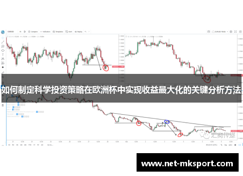 如何制定科学投资策略在欧洲杯中实现收益最大化的关键分析方法