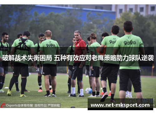 破解战术失衡困局 五种有效应对老鹰策略助力球队逆袭