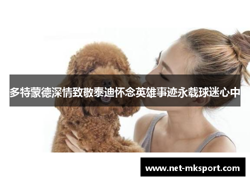 多特蒙德深情致敬泰迪怀念英雄事迹永载球迷心中