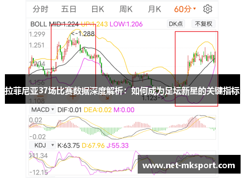 拉菲尼亚37场比赛数据深度解析：如何成为足坛新星的关键指标