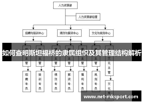 如何查明斯坦福桥的隶属组织及其管理结构解析